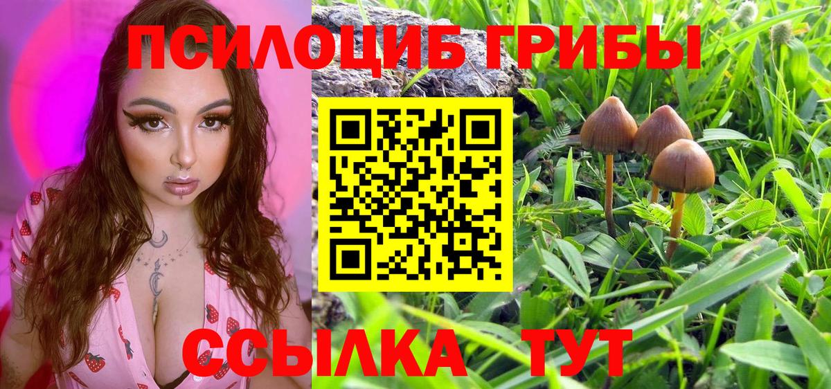 Меф мяу мяу Жуковский