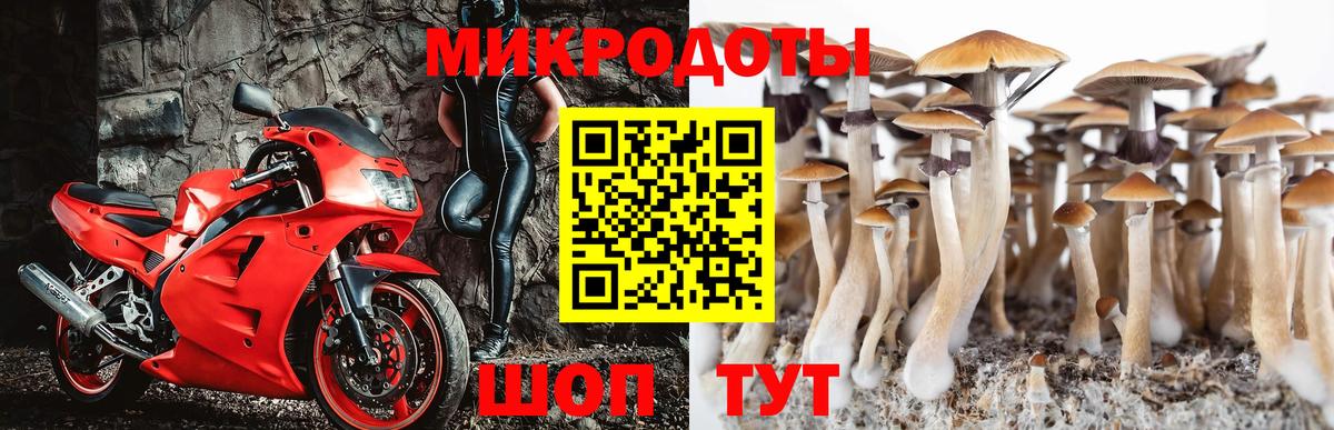 Жуковский  Галлюциногенные грибы Magic Shrooms  Вход с VPN 