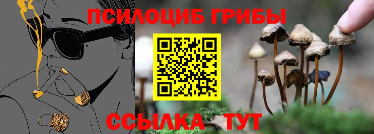 Псилоцибиновые грибы Magic Shrooms  Жуковский 